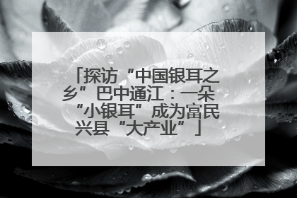 探访“中国银耳之乡”巴中通江：一朵“小银耳”成为富民兴县“大产业”